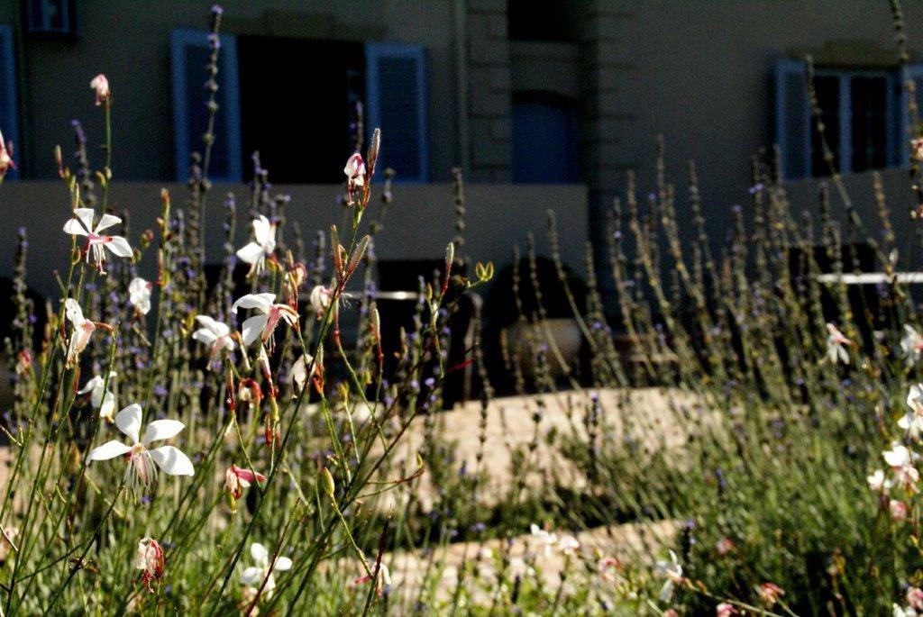 La Cabriere Country House Franschhoek Eksteriør bilde