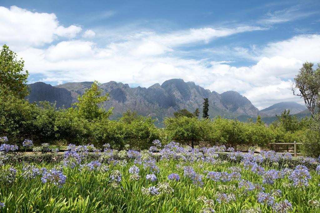 La Cabriere Country House Franschhoek Rom bilde